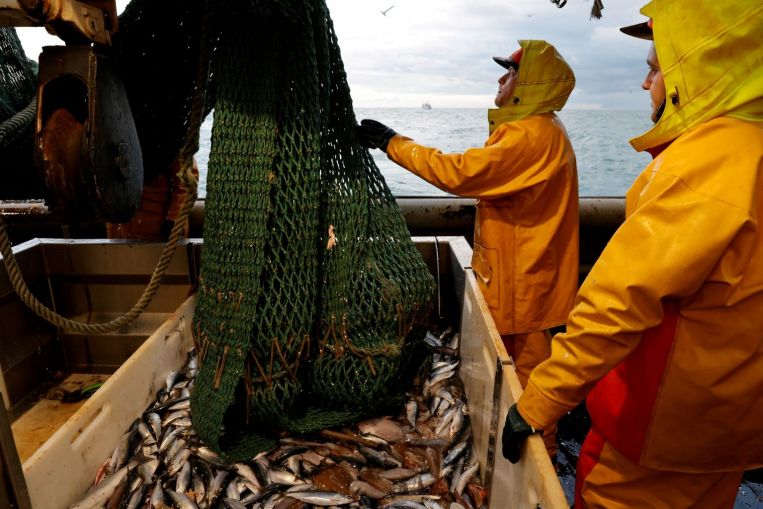 'Hay que ser realista': Francia prepara a los pescadores para lo peor durante el Brexit