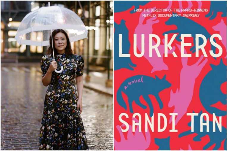 Reseña del libro: algo extraño en el vecindario de Sandi Tan's Lurkers
