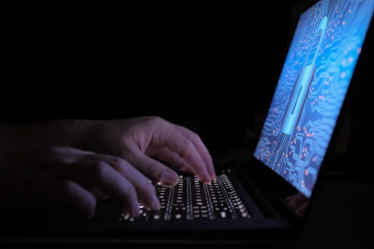 Más esporas afectadas por ataques cibernéticos;  CSA lanza campaña de concientización