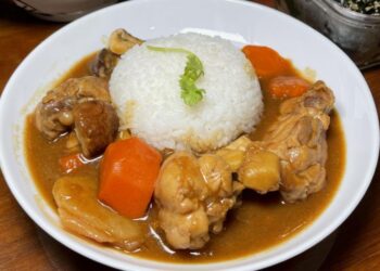 Comodidad de la cocina: pollo al curry con hueso al estilo japonés y arroz