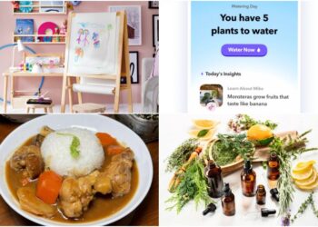 Guía para quedarse en casa para el martes: redescubra a su niño interior, cocine pollo al curry japonés y más