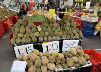 Cómo agarrar un durian barato: los suministros de parachoques significan súper gangas este año