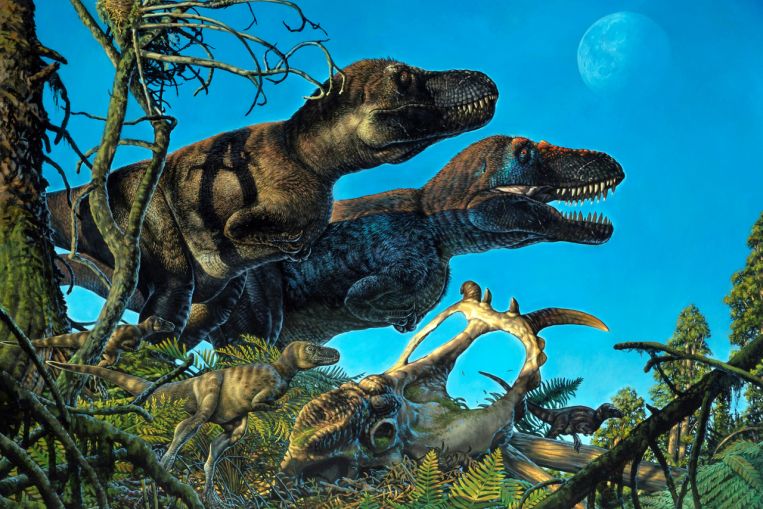 Los dinosaurios declinan antes del choque de un meteorito: estudio