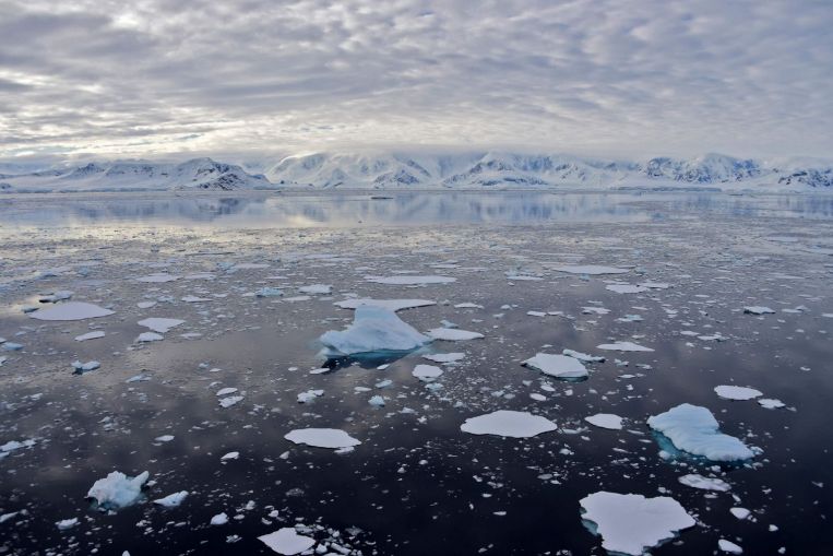 ONU confirma temperatura récord de 18,3 grados C en la Antártida