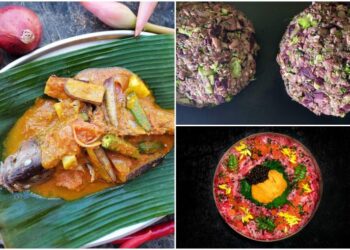 Opciones de alimentos: hamburguesas de verduras, kit de harina de pescado y wagyu donburi