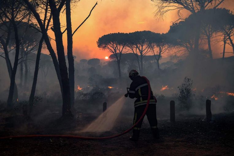 Campamentos evacuados mientras Francia enfrenta un incendio forestal cerca de Saint-Tropez