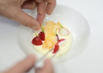 platos delicados