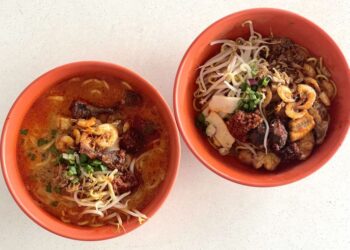 Sugerencias de comida: fideos al curry de Malasia con carne de tiburón, leche de soja tradicional