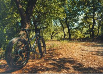 bici en monte