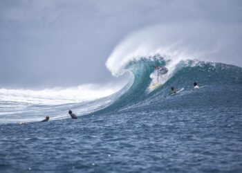 ola de surf