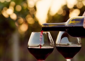 vinos-naturales-y-ecologicos-1.