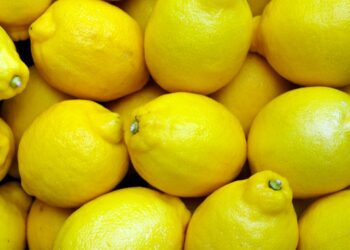Limones