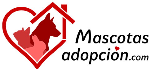 mascotas en adopcion