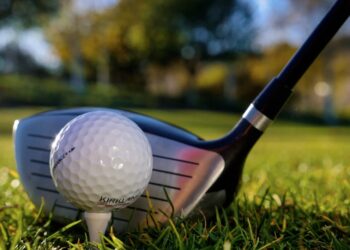 palo de golf