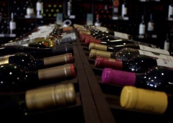 bodega de vinos