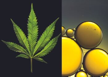 Aceite CBD
