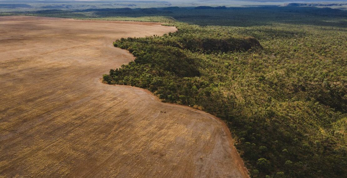 Las iniciativas de desiertos verdes que están transformando nuestro entorno
