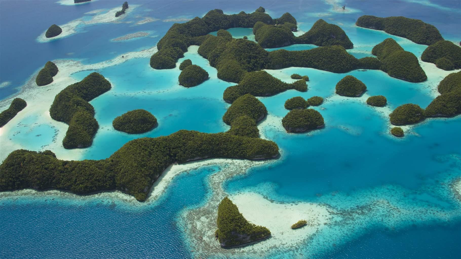 1. Creación de Áreas Marinas Protegidas