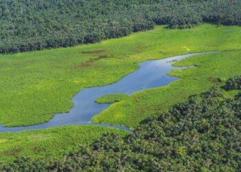 ecoturismo en Latinoamérica