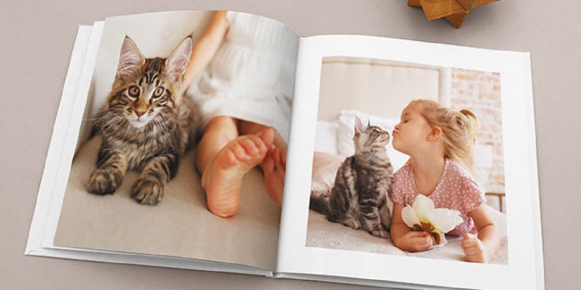albumes de fotos