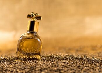 top 6 perfumes iconicos