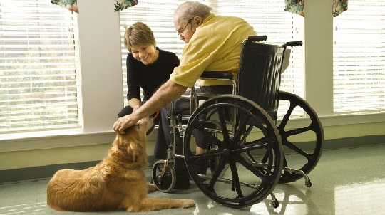 Man in wheelchair with dog.